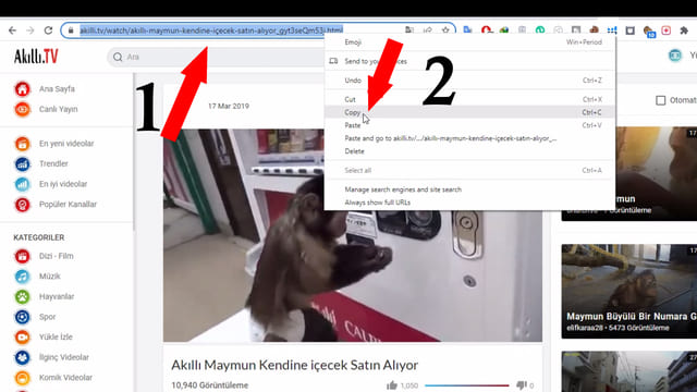 how to download Akilli tv videos Step1