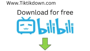 Bilbili online downloader tiktikdown